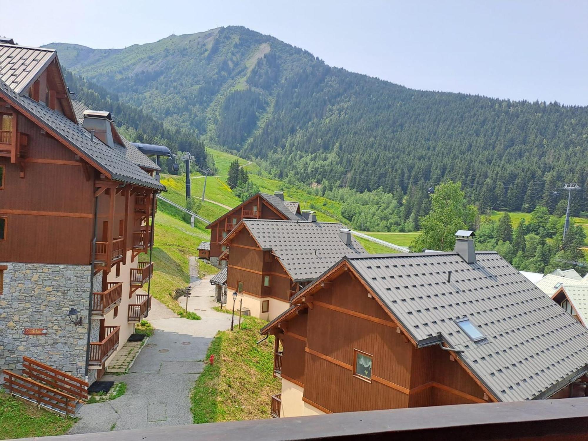Chalet Des Neiges Oz En Oisans Oz Eksteriør billede