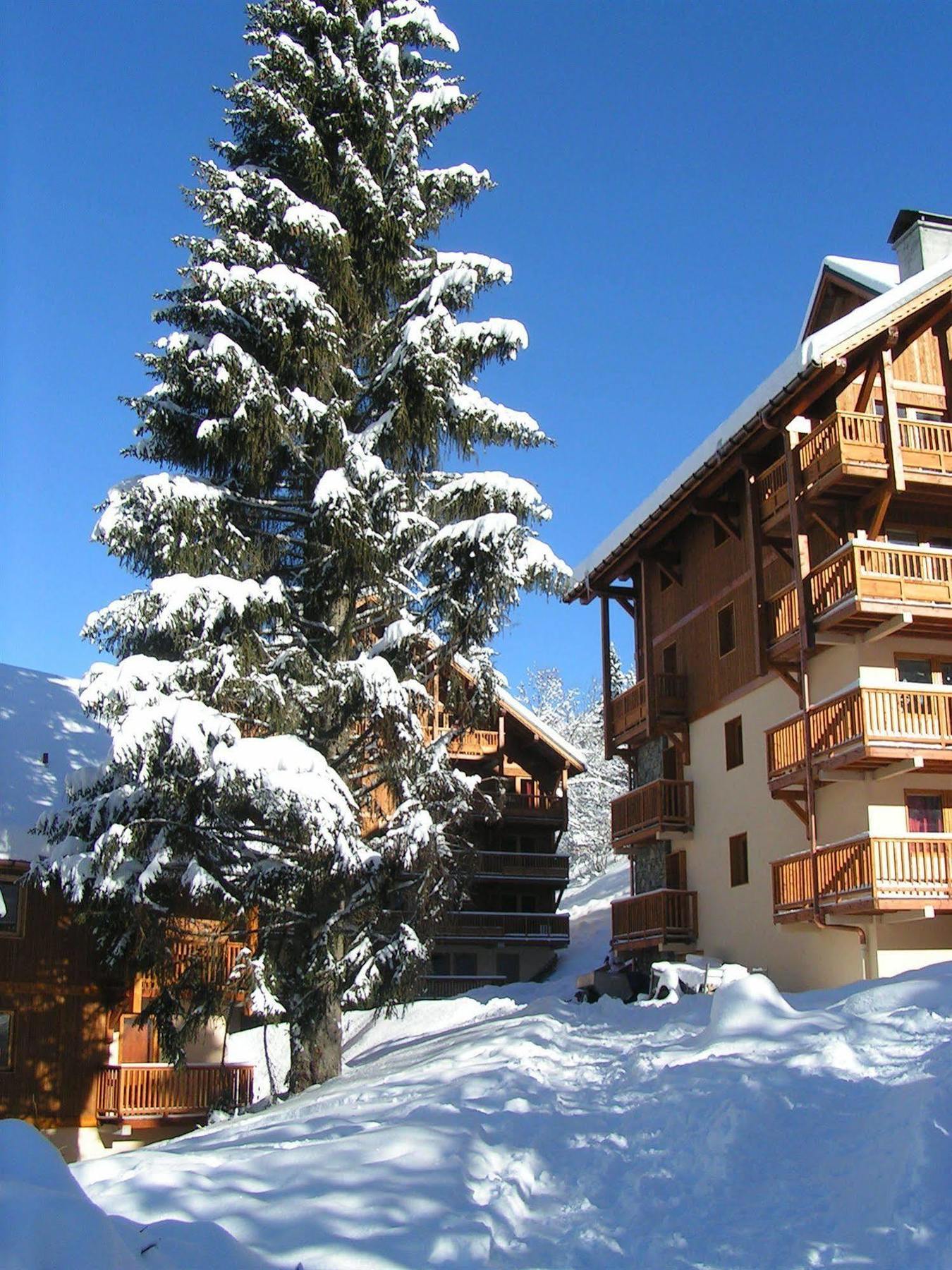 Chalet Des Neiges Oz En Oisans Oz Eksteriør billede